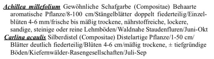 Artbeschreibung