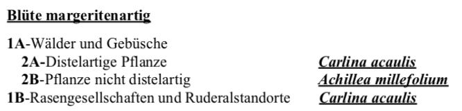 Pflanzenbestimmung